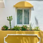 Designed In Apartment *