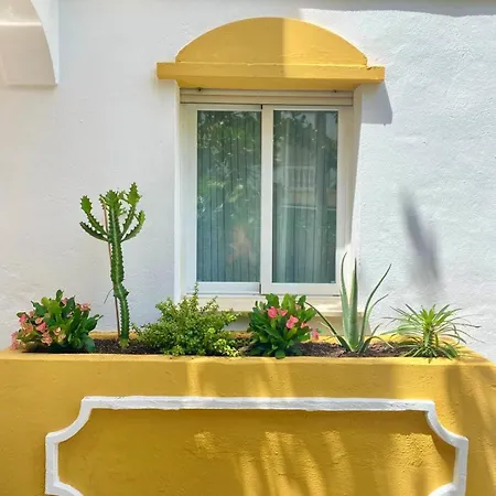 Designed In Apartamento *