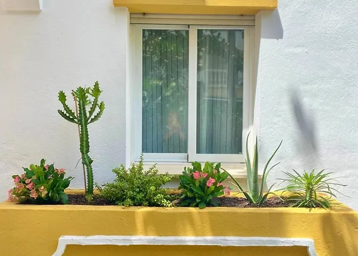 Designed In Apartamento *